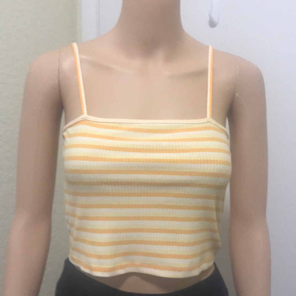 2 Striped Crop Tops [view pics]